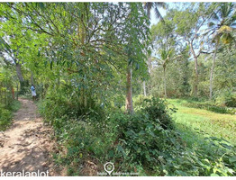 83 cent land for sale near Mararikulam.