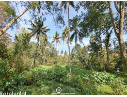 83 cent land for sale near Mararikulam.