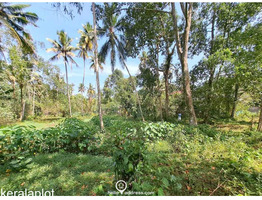 83 cent land for sale near Mararikulam.