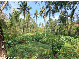 83 cent land for sale near Mararikulam.