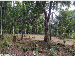 3.5 acres Land For Sale  in Poomala, Thrissur District