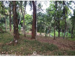 3.5 acres Land For Sale  in Poomala, Thrissur District