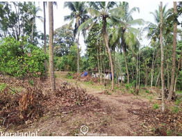 3.5 acres Land For Sale  in Poomala, Thrissur District