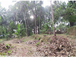 3.5 acres Land For Sale  in Poomala, Thrissur District
