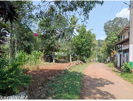 16.5 Cent Residential Land For Sale Near by mallapally padimon