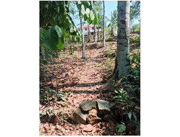 16.5 Cent Residential Land For Sale Near by mallapally padimon