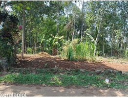 16.5 Cent Residential Land For Sale Near by mallapally padimon