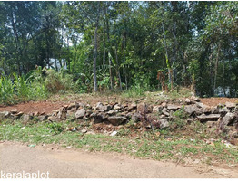 16.5 Cent Residential Land For Sale Near by mallapally padimon