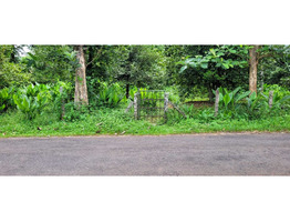 35 Cent Residential Land For Sale Near by Ettumanoor,Peroor  kottayam district