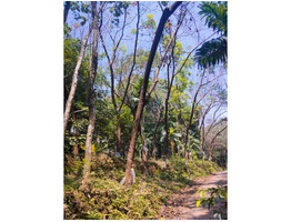 5.15 Acrs land for sale at White water kayaking in Pulikayat,kozhikode district