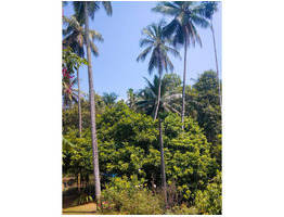 5.15 Acrs land for sale at White water kayaking in Pulikayat,kozhikode district