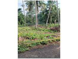 66.5 cent residential land for sale near by cherthala,thuravoor south village