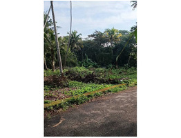 66.5 cent residential land for sale near by cherthala,thuravoor south village