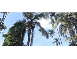 1.38 Acre land with House  for sale near by kalpetta -ernakulam-calicut-Bangalore NH766