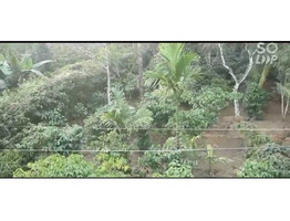 1.38 Acre land with House  for sale near by kalpetta -ernakulam-calicut-Bangalore NH766