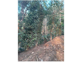 3 Acre land  for sale near by manjappara idukki district