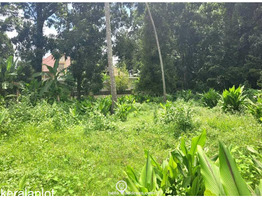 Residential Land for Sale in Elavoor, Angamaly, Ernakulam