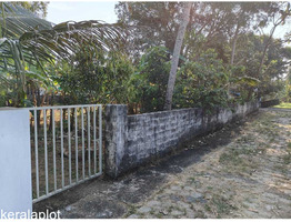 20 cents Residential land sale near by irinjalakuda private bus stand