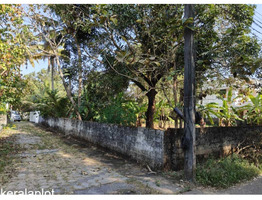 20 cents Residential land sale near by irinjalakuda private bus stand