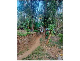 21 Cent land for sale near by  Alakode Neduvode