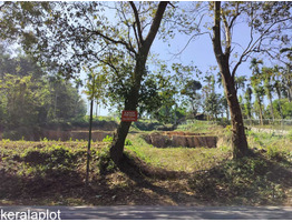 1.92 Acre land  for  for sale near by  sulthan bathery,wayanad