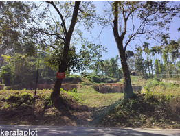 1.92 Acre land  for  for sale near by  sulthan bathery,wayanad