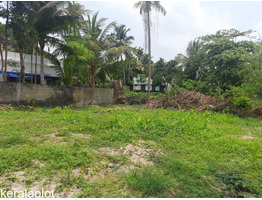 9.75 cent land for sale near by vadakkan paravoor,panorama nagar