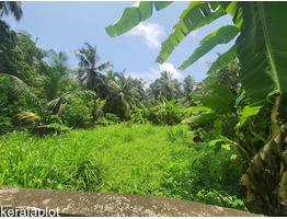 15 cent  land for sale Near By guruvayoor,Thrissur District