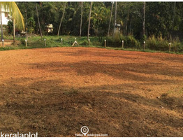 13 cents Residential Land for Sale in Kandanasserry, Guruvayur, Thrissur