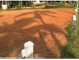 13 cents Residential Land for Sale in Kandanasserry, Guruvayur, Thrissur