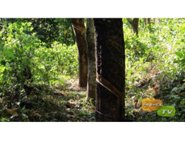 6 Acre land for sale near by Udhyangiri panchayat,Mamboyil kannur district