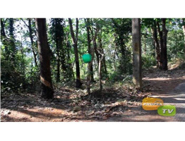 6 Acre land for sale near by Udhyangiri panchayat,Mamboyil kannur district