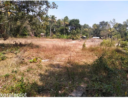 11 cents 4  Residential Plots For Sale Near by Maraikkulam Kanichukulangara Pwd Road