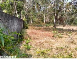 11 cents 4  Residential Plots For Sale Near by Maraikkulam Kanichukulangara Pwd Road