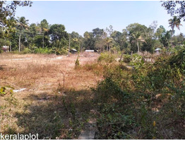 11 cents 4  Residential Plots For Sale Near by Maraikkulam Kanichukulangara Pwd Road