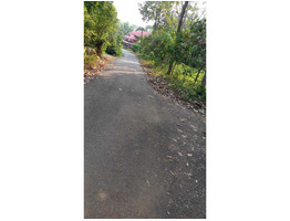 45 cent Residential  land for Sale omallur,Pathanamthitta  District