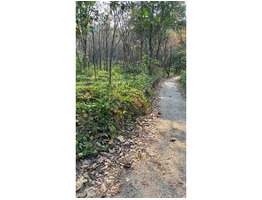 45 cent Residential  land for Sale omallur,Pathanamthitta  District