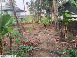 24.8 Cent Land With 3400 Sqft House For Sale Thiruvankulam,Ernakulam District