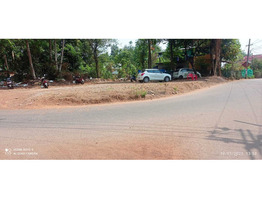 17 Cents of Land For Sale at Alangad