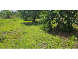 Residential Land for Sale in Kottekad, Thrissur