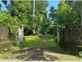 65.5  cents land for sale near by  perumbavoor Koovappady, Sidhen Kavala