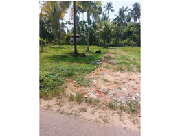 8.2 Cents Residential Land For Sale Near by paravoor,vazhikulangara  Ernakulam District