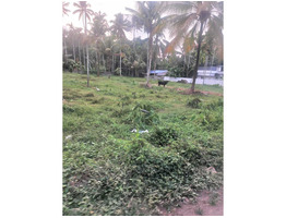 8.2 Cents Residential Land For Sale Near by paravoor,vazhikulangara  Ernakulam District