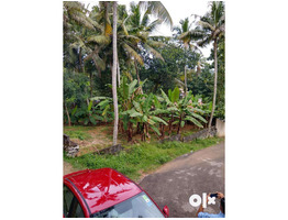 11.6 Cent Land For Sale Near By  Mangalapuram  Junction