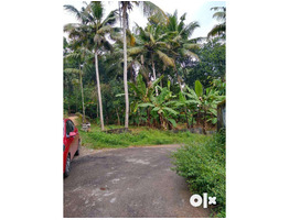 11.6 Cent Land For Sale Near By  Mangalapuram  Junction