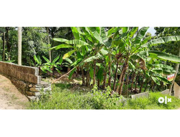 11.6 Cent Land For Sale Near By  Mangalapuram  Junction