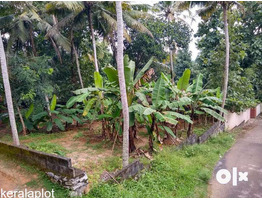 11.6 Cent Land For Sale Near By  Mangalapuram  Junction