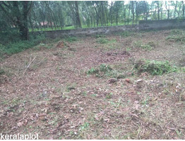 20 CENT RESIDENTIAL  LAND SALE AT ERNAKULAM THENGODE