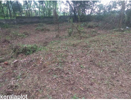 20 CENT RESIDENTIAL  LAND SALE AT ERNAKULAM THENGODE