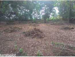 20 CENT RESIDENTIAL  LAND SALE AT ERNAKULAM THENGODE